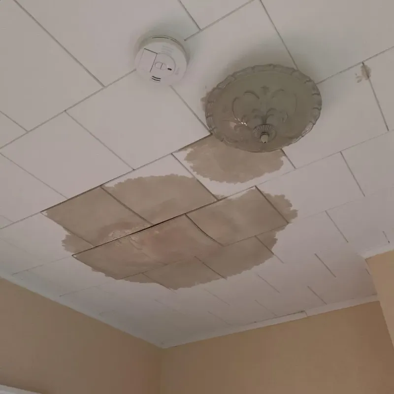 Ceiling Water Damage Repair in Montgomery County, IN