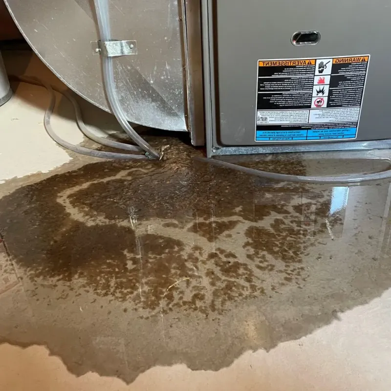 Pipe Burst and Leak Restoration in Montgomery County, IN