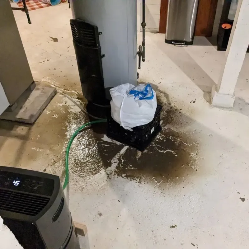 Sewage Backup Cleanup Service in Montgomery County, IN